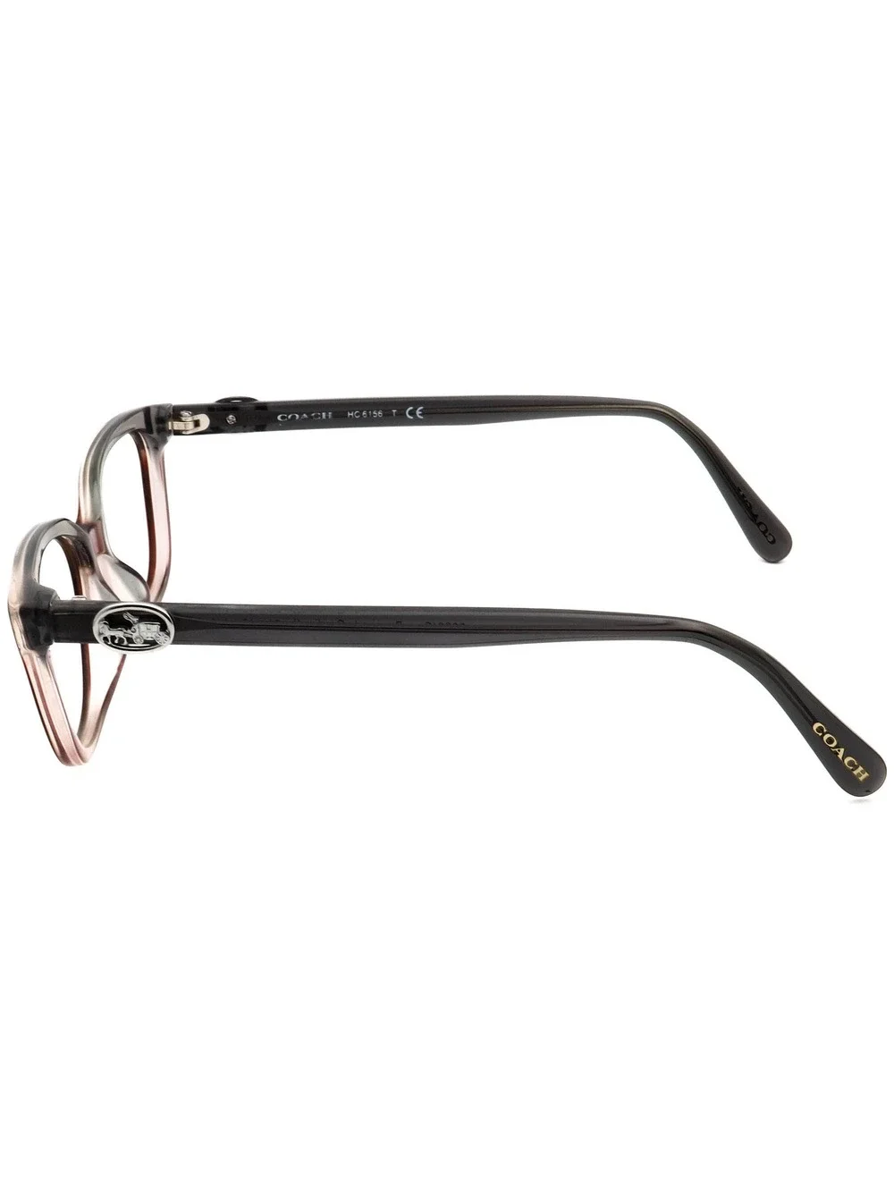 Coach HC 6156 5620 Eyewear